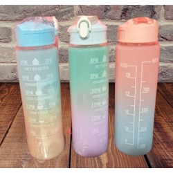 TERMO BOTELLA MOTIVACIONAL DE PLASTICO DE 950 MLS. (3 COLORES)